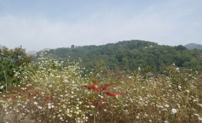 东郭镇“情山情趣”旅游示范点